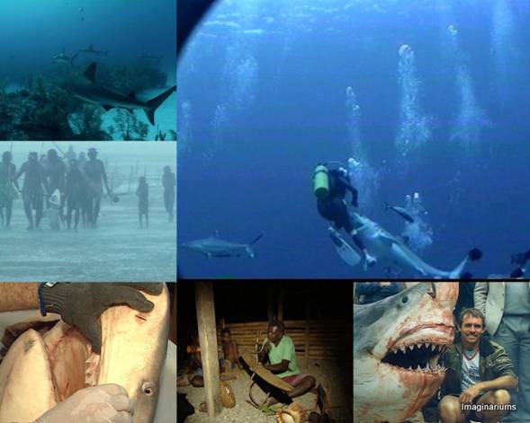 documental tiburon