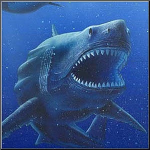 tiburon megalodon