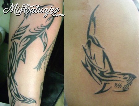 tatuajes de tiburones